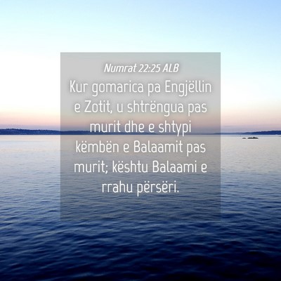 Picture 04 - Numrat 22:25 ALB - Kur gomarica pa Engjëllin e Zotit, u shtrëngua - Bible Verse Picture