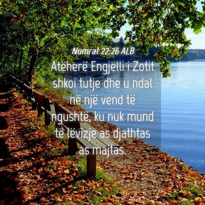Picture 04 - Numrat 22:26 ALB - Atëherë Engjëlli i Zotit shkoi tutje dhe u - Bible Verse Picture
