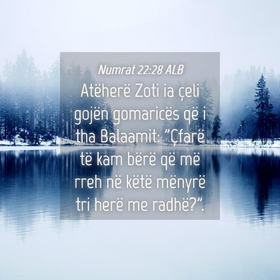 Picture 04 - Numrat 22:28 ALB - Atëherë Zoti ia çeli gojën gomaricës që i - Bible Verse Picture