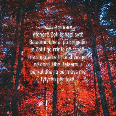 Picture 04 - Numrat 22:31 ALB - Atëherë Zoti ia hapi sytë Balaamit dhe ai pa - Bible Verse Picture