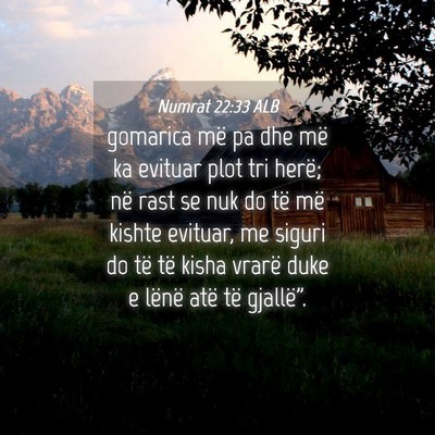 Picture 04 - Numrat 22:33 ALB - gomarica më pa dhe më ka evituar plot tri - Bible Verse Picture
