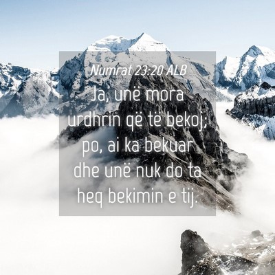 Picture 04 - Numrat 23:20 ALB - Ja, unë mora urdhrin që të bekoj; po, ai ka - Bible Verse Picture