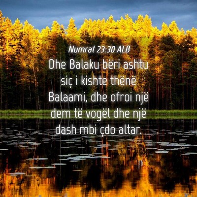Picture 04 - Numrat 23:30 ALB - Dhe Balaku bëri ashtu siç i kishte thënë - Bible Verse Picture