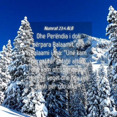 Picture 04 - Numrat 23:4 ALB - Dhe Perëndia i doli përpara Balaamit, dhe - Bible Verse Picture