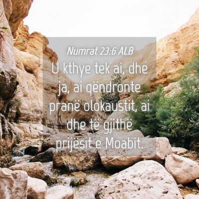 Picture 04 - Numrat 23:6 ALB - U kthye tek ai, dhe ja, ai qëndronte pranë - Bible Verse Picture