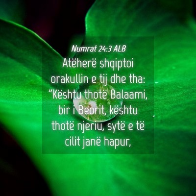 Picture 04 - Numrat 24:3 ALB - Atëherë shqiptoi orakullin e tij dhe tha: - Bible Verse Picture