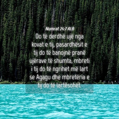 Picture 04 - Numrat 24:7 ALB - Do të derdhë ujë nga kovat e tij, pasardhësit - Bible Verse Picture