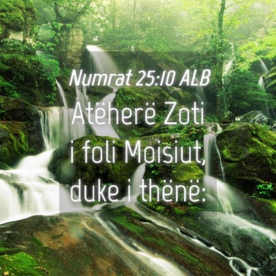 Picture 04 - Numrat 25:10 ALB - Atëherë Zoti i foli Moisiut, duke i - Bible Verse Picture
