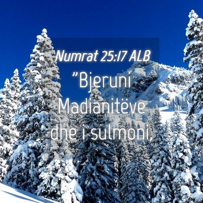 Picture 04 - Numrat 25:17 ALB - 