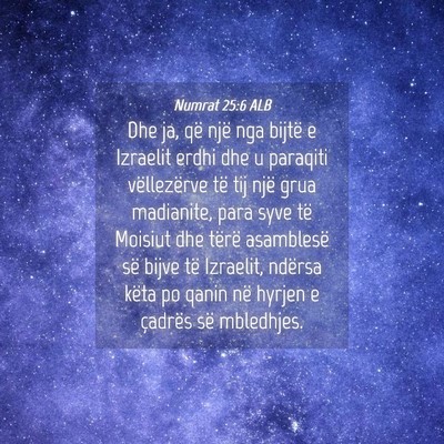 Picture 04 - Numrat 25:6 ALB - Dhe ja, që një nga bijtë e Izraelit erdhi dhe - Bible Verse Picture