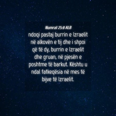 Picture 04 - Numrat 25:8 ALB - ndoqi pastaj burrin e Izraelit në alkovën e tij - Bible Verse Picture