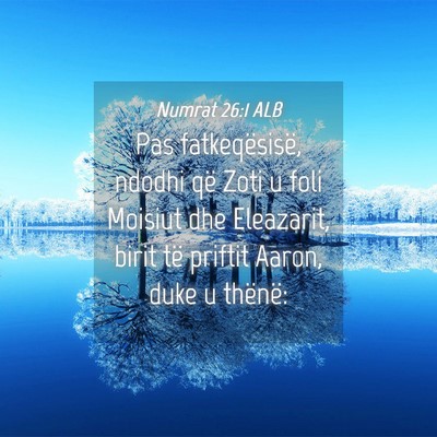 Picture 04 - Numrat 26:1 ALB - Pas fatkeqësisë, ndodhi që Zoti u foli Moisiut - Bible Verse Picture