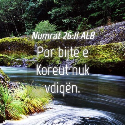 Picture 04 - Numrat 26:11 ALB - Por bijtë e Koreut nuk - Bible Verse Picture