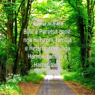 Picture 04 - Numrat 26:21 ALB - Bijtë e Peretsit qenë: nga Hetsroni, familja e - Bible Verse Picture