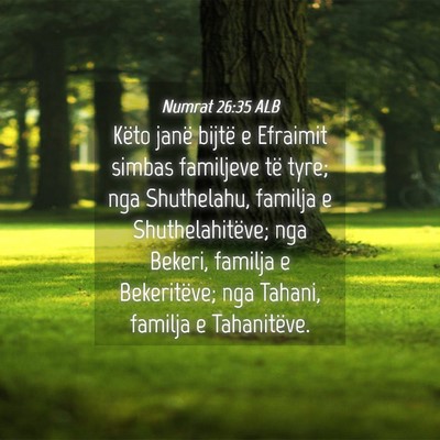 Picture 04 - Numrat 26:35 ALB - Këto janë bijtë e Efraimit simbas familjeve - Bible Verse Picture