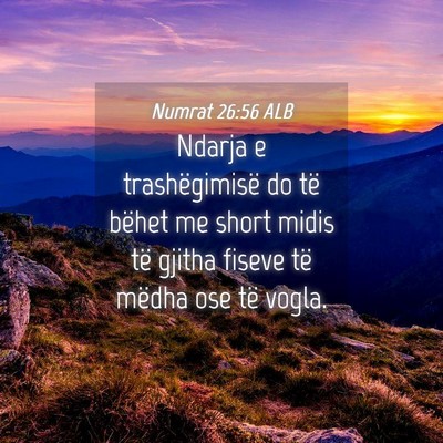 Picture 04 - Numrat 26:56 ALB - Ndarja e trashëgimisë do të bëhet me short - Bible Verse Picture