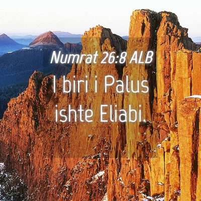Picture 04 - Numrat 26:8 ALB - I biri i Palus ishte - Bible Verse Picture