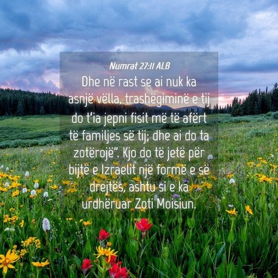 Picture 04 - Numrat 27:11 ALB - Dhe në rast se ai nuk ka asnjë vëlla, - Bible Verse Picture