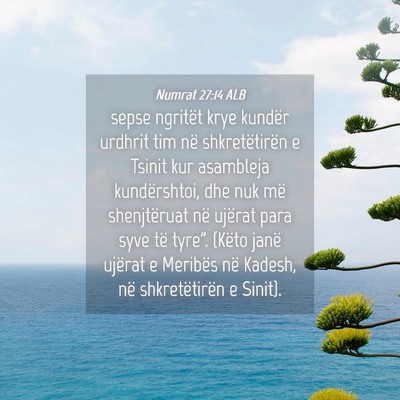 Picture 04 - Numrat 27:14 ALB - sepse ngritët krye kundër urdhrit tim në - Bible Verse Picture