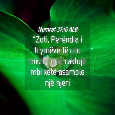 Picture 04 - Numrat 27:16 ALB - 