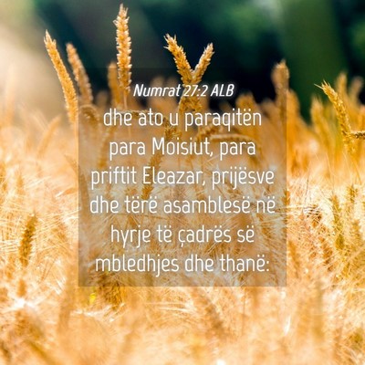 Picture 04 - Numrat 27:2 ALB - dhe ato u paraqitën para Moisiut, para priftit - Bible Verse Picture