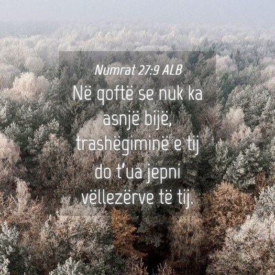 Picture 04 - Numrat 27:9 ALB - Në qoftë se nuk ka asnjë bijë, trashëgiminë - Bible Verse Picture