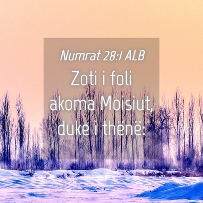 Picture 04 - Numrat 28:1 ALB - Zoti i foli akoma Moisiut, duke i - Bible Verse Picture