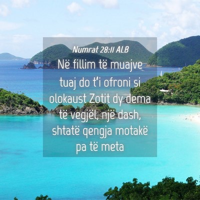 Picture 04 - Numrat 28:11 ALB - Në fillim të muajve tuaj do t’i ofroni si - Bible Verse Picture