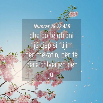 Picture 04 - Numrat 28:22 ALB - dhe do të ofroni një cjap si flijim për - Bible Verse Picture