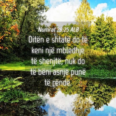 Picture 04 - Numrat 28:25 ALB - Ditën e shtatë do të keni një mbledhje të - Bible Verse Picture