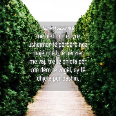 Picture 04 - Numrat 28:28 ALB - me blatimin e tyre ushqimor të përbërë nga - Bible Verse Picture