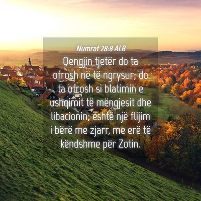 Picture 04 - Numrat 28:8 ALB - Qengjin tjetër do ta ofrosh në të ngrysur; do - Bible Verse Picture