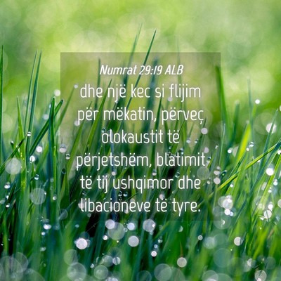 Picture 04 - Numrat 29:19 ALB - dhe një kec si flijim për mëkatin, përveç - Bible Verse Picture
