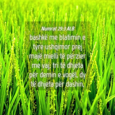 Picture 04 - Numrat 29:3 ALB - bashkë me blatimin e tyre ushqimor prej majë - Bible Verse Picture
