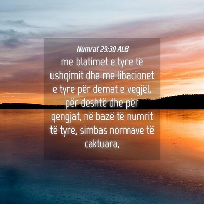 Picture 04 - Numrat 29:30 ALB - me blatimet e tyre të ushqimit dhe me libacionet - Bible Verse Picture