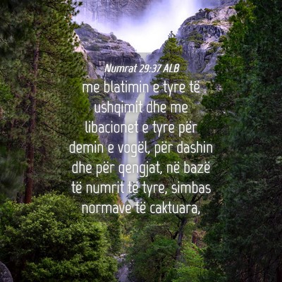 Picture 04 - Numrat 29:37 ALB - me blatimin e tyre të ushqimit dhe me libacionet - Bible Verse Picture