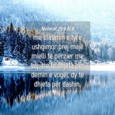 Picture 04 - Numrat 29:9 ALB - me blatimin e tyre ushqimor prej majë mielli të - Bible Verse Picture