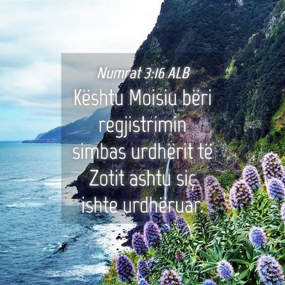 Picture 04 - Numrat 3:16 ALB - Kështu Moisiu bëri regjistrimin simbas - Bible Verse Picture