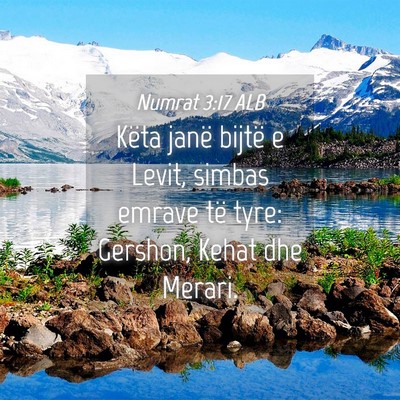 Picture 04 - Numrat 3:17 ALB - Këta janë bijtë e Levit, simbas emrave të - Bible Verse Picture