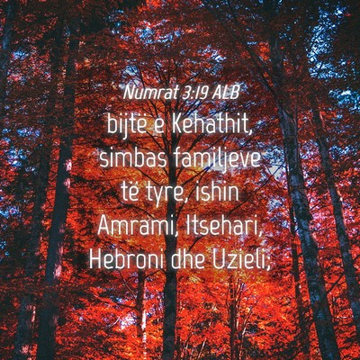 Picture 04 - Numrat 3:19 ALB - bijtë e Kehathit, simbas familjeve të tyre, - Bible Verse Picture