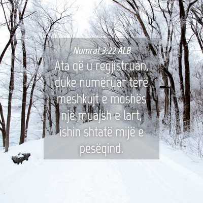 Picture 04 - Numrat 3:22 ALB - Ata që u regjistruan, duke numëruar tërë - Bible Verse Picture
