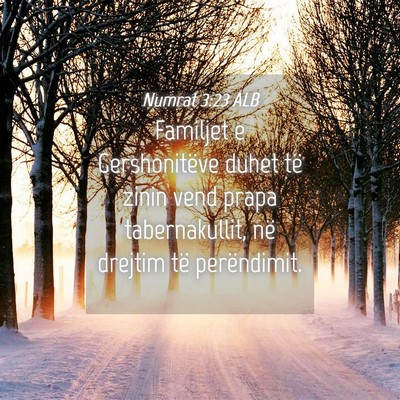 Picture 04 - Numrat 3:23 ALB - Familjet e Gershonitëve duhet të zinin vend - Bible Verse Picture