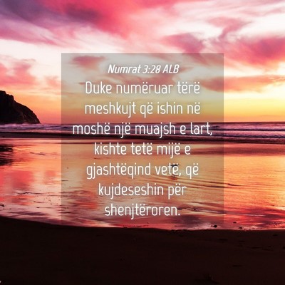 Picture 04 - Numrat 3:28 ALB - Duke numëruar tërë meshkujt që ishin në - Bible Verse Picture