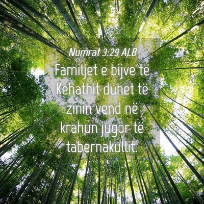 Picture 04 - Numrat 3:29 ALB - Familjet e bijve të Kehathit duhet të zinin - Bible Verse Picture