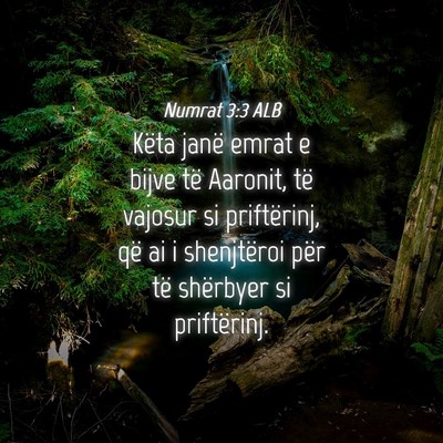 Picture 04 - Numrat 3:3 ALB - Këta janë emrat e bijve të Aaronit, të - Bible Verse Picture