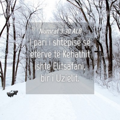 Picture 04 - Numrat 3:30 ALB - I pari i shtëpisë së etërve të Kehathit - Bible Verse Picture