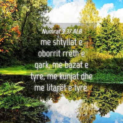 Picture 04 - Numrat 3:37 ALB - me shtyllat e oborrit rreth e qark, me bazat e - Bible Verse Picture