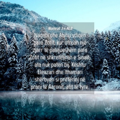 Picture 04 - Numrat 3:4 ALB - Nadabi dhe Abihu vdiqën para Zotit, kur ofruan - Bible Verse Picture