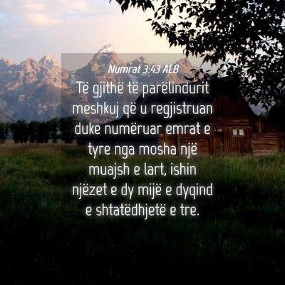Picture 04 - Numrat 3:43 ALB - Të gjithë të parëlindurit meshkuj që u - Bible Verse Picture