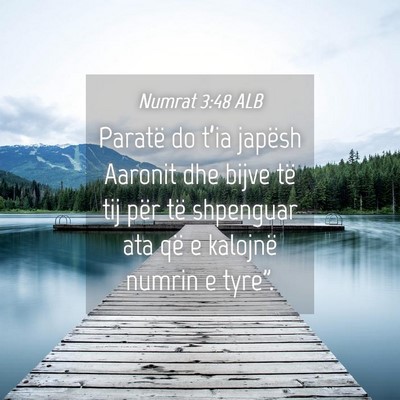 Picture 04 - Numrat 3:48 ALB - Paratë do t’ia japësh Aaronit dhe bijve të - Bible Verse Picture